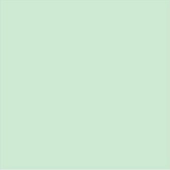 VINIL TEXTIL TERMOTRANSFERIBLE EASYWEED STRETCH SWEET MINT 15" X 50YDS
